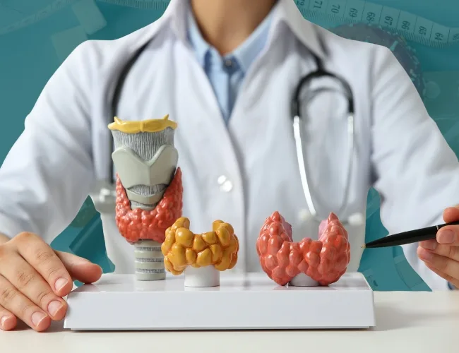 Endocrinologia na Liorci Clinic